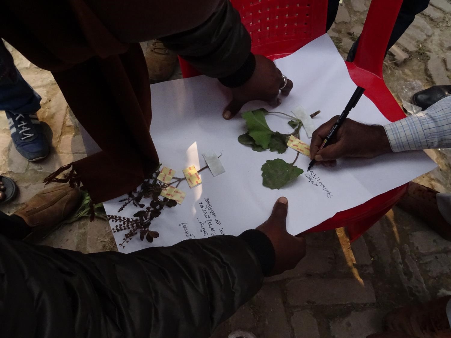 Learning to prepare biodiversity registers