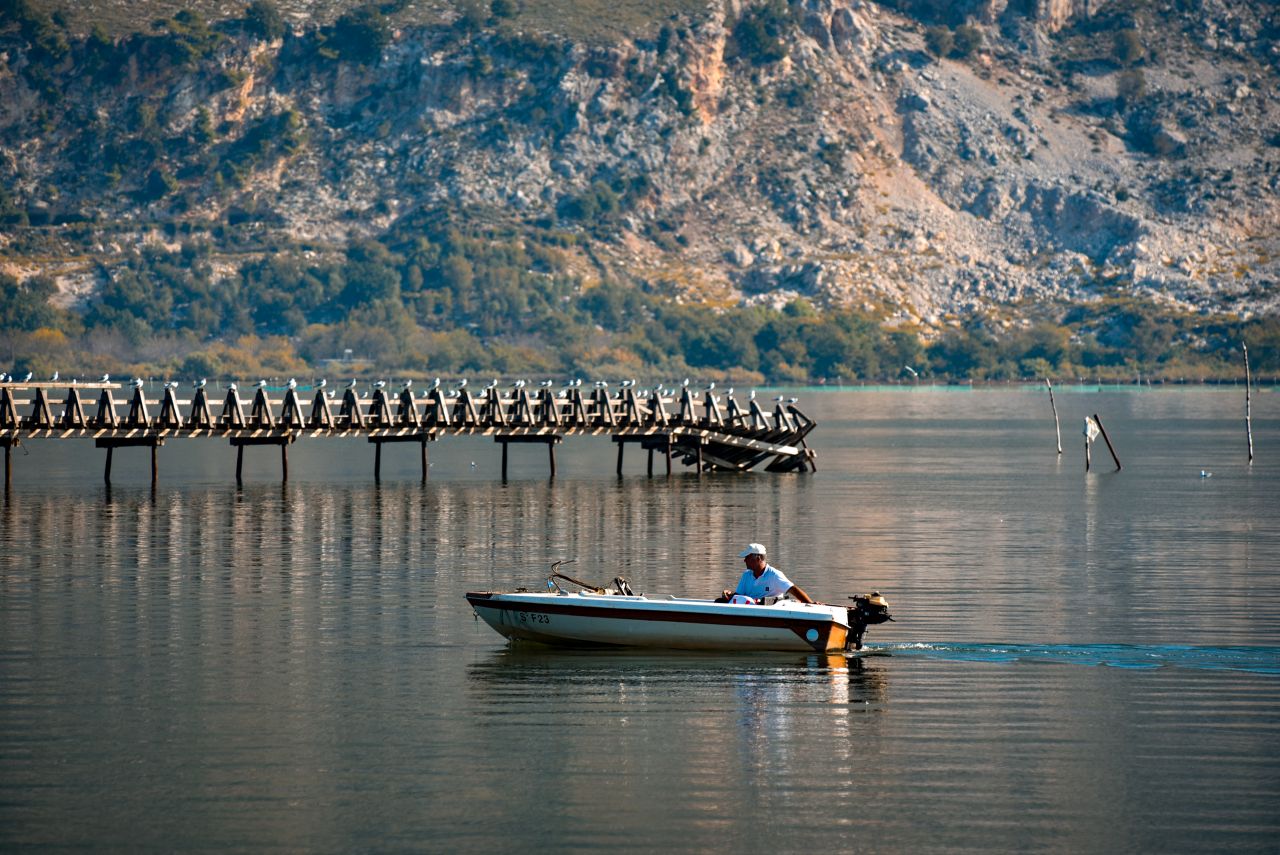 Buna Delta