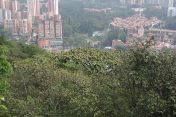Parque Natural Regional Cerro el Volador. Coberturas, senderos y avifauna. 