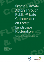 book cover - green with white writing