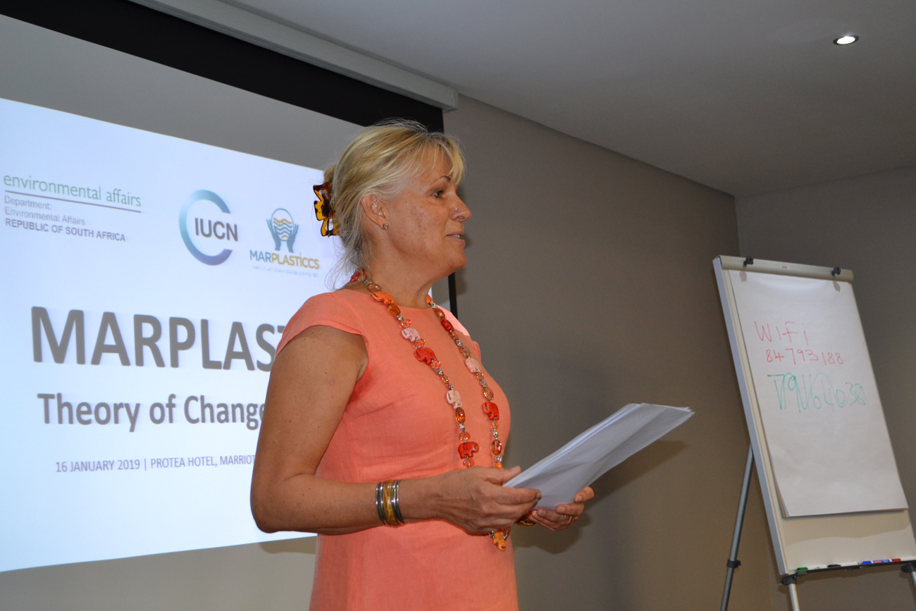 Her Excellency Cecilia Julin, Swedish Ambassador to South Africa