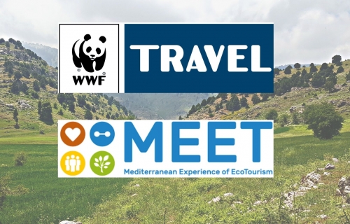 wwf travel MEET Network