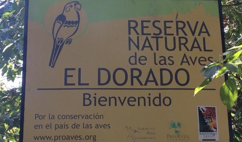 El Dorado PPA, a key place for conserving endemic species in the Sierra Nevada de Santa Marta, Colombia © Kent Redford