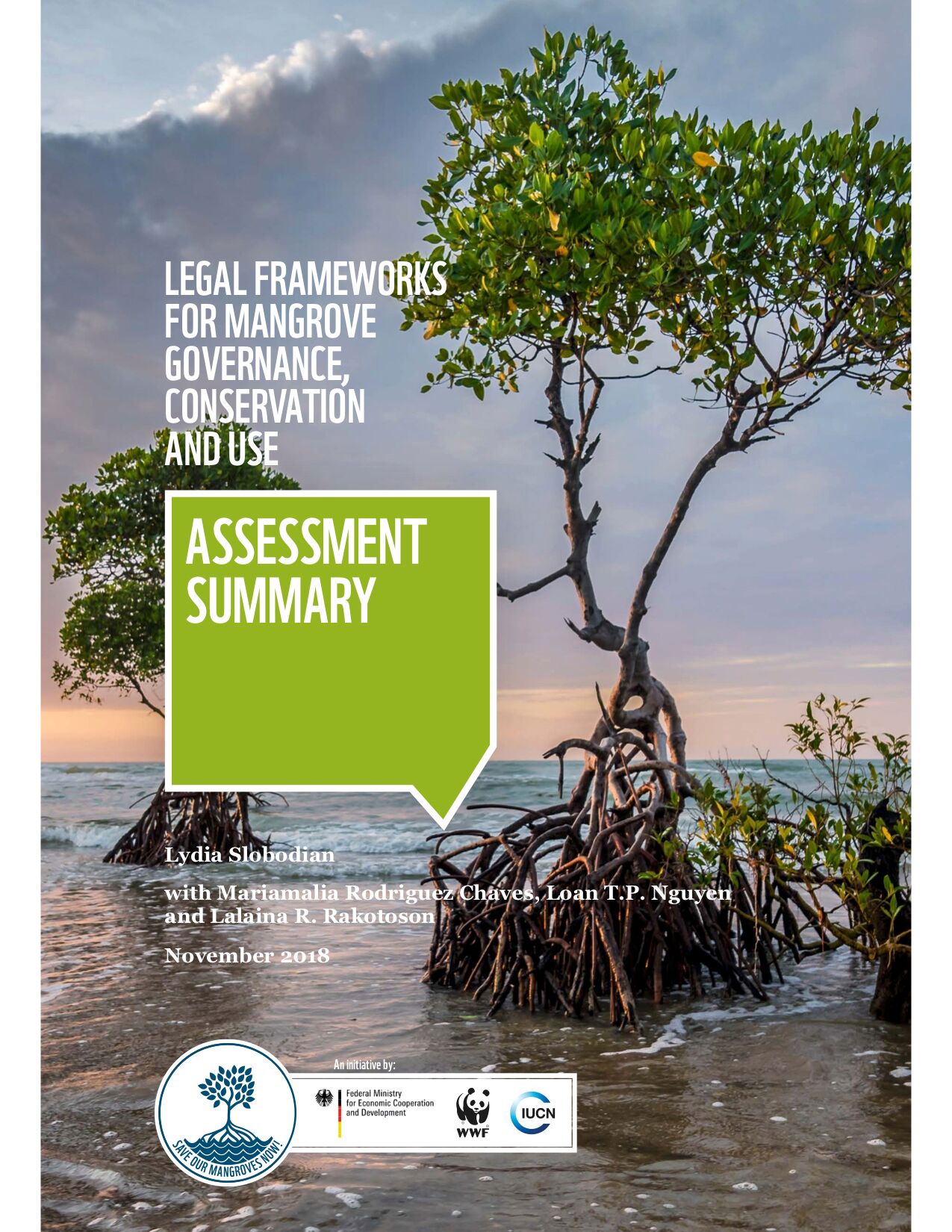 Cover_Assessment summary on mangroves