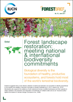 Forest brief cover page 18