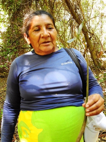 Mujeres en la conservación de la biodiversidad costera
