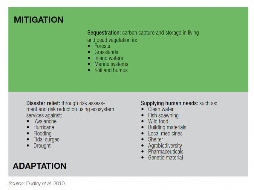 Climate Change mitigation and the UCN  Green List