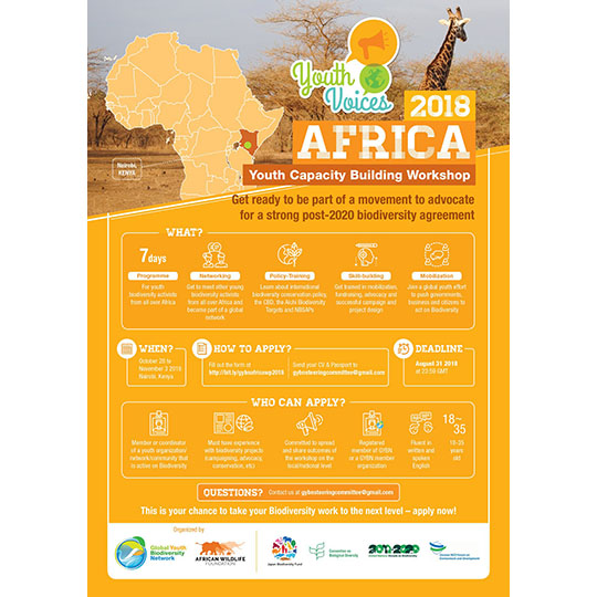 GYBN Africa 2018 Flyer