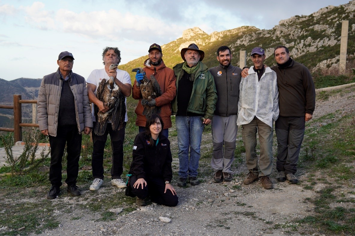 Team of conservation experts from Jbel Moussa Vulture Recovery Centre, Birdlife GREPOM and Junta de Andalucia - ©Justo Martín
