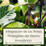 IAPA