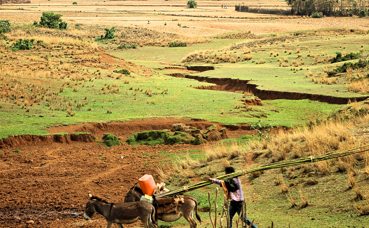 donkey and man walking over dry river bed