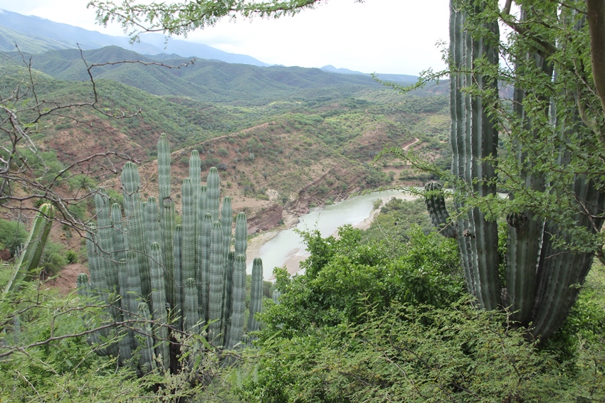 Tehuacán-Cuicatlán Valley: originary habitat of Mesoamerica, Mexico