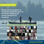 Inauguración de curso en línea sobre capacitación en herramientas de evaluación estadística para el monitoreo biológico del recurso pesquero.