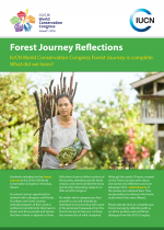 woman with sticks on cover of booklet