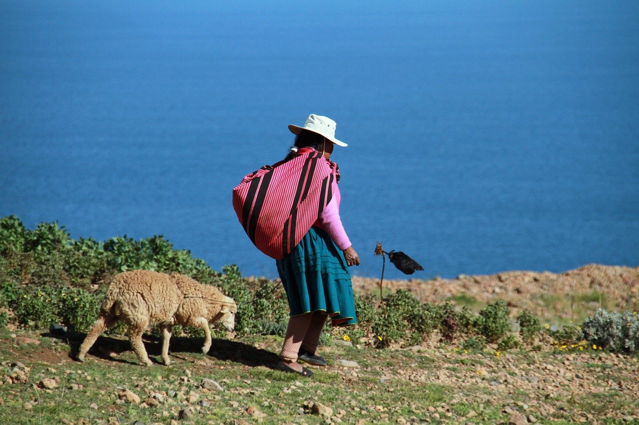 Woman and sheep at Lake Titicaca