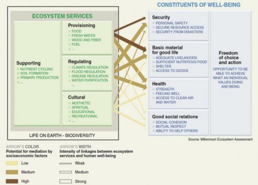 Linkages between ecosystem services and human well-being. Source: MA (2005).