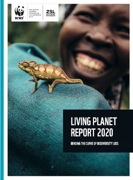 Living Planet Report 2020