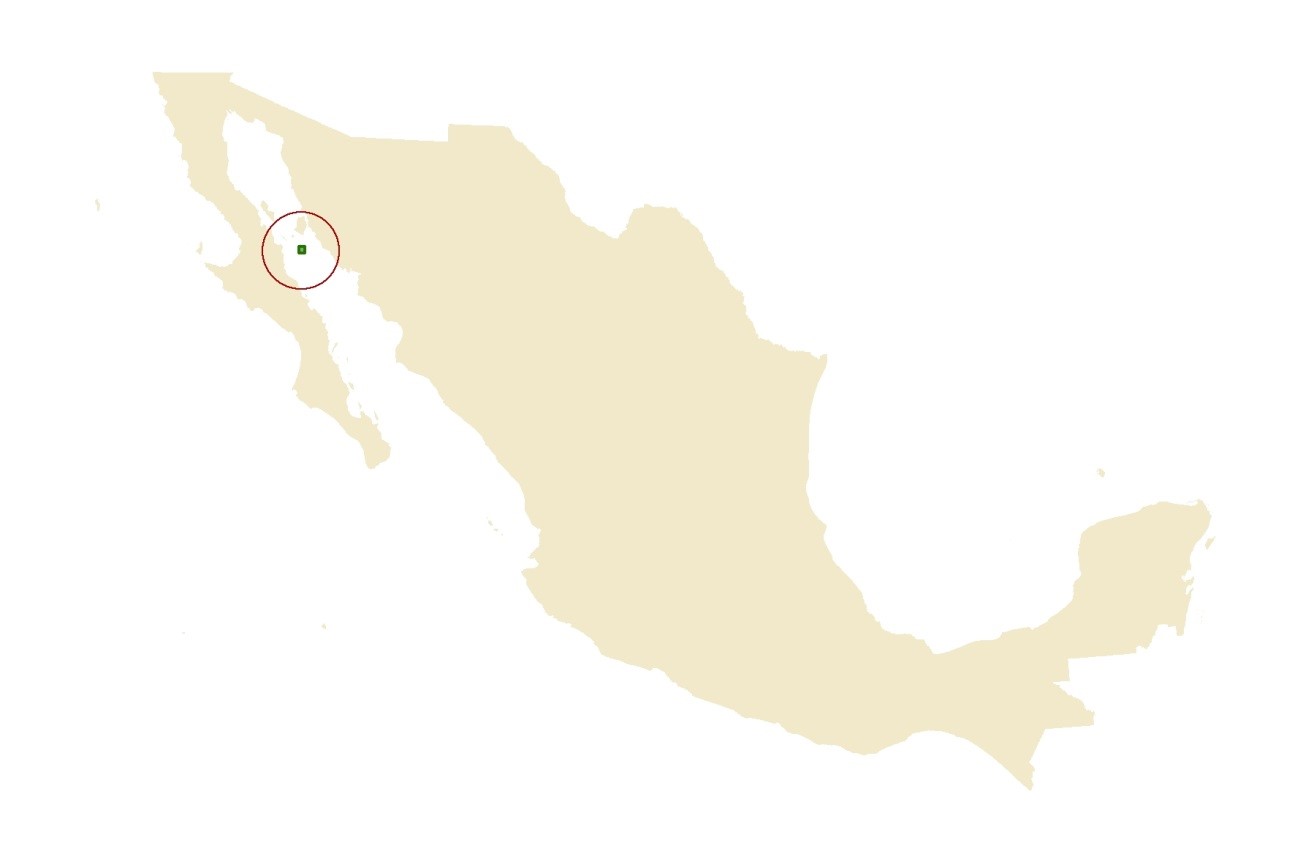 Map Mexico - San Pedro Martir location