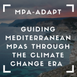 MPA-ADAPT
