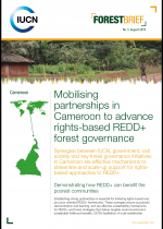 Forest brief cover page