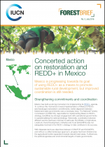 cover page of forest brief