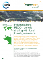 cover page of forest brief