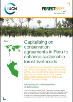 cover page of forest brief