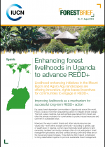 cover page of forest brief