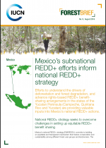 cover page of forest brief