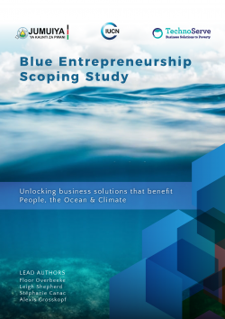 Blue Entrepreneurship Scoping Study