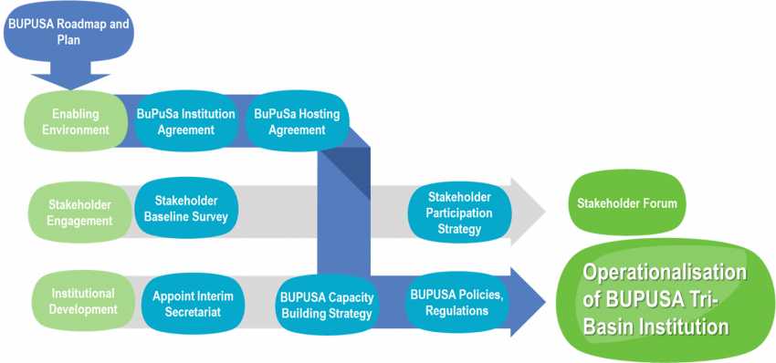 Overview of the BuPuSa Tri-basin Institution Roadmap
