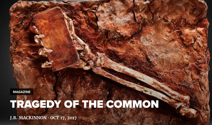 Tragedy of the Common