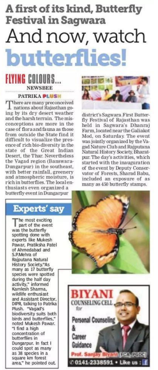 The butterfly festival of Vagar (Rajasthan, India) 2