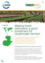 cover page of forest brief