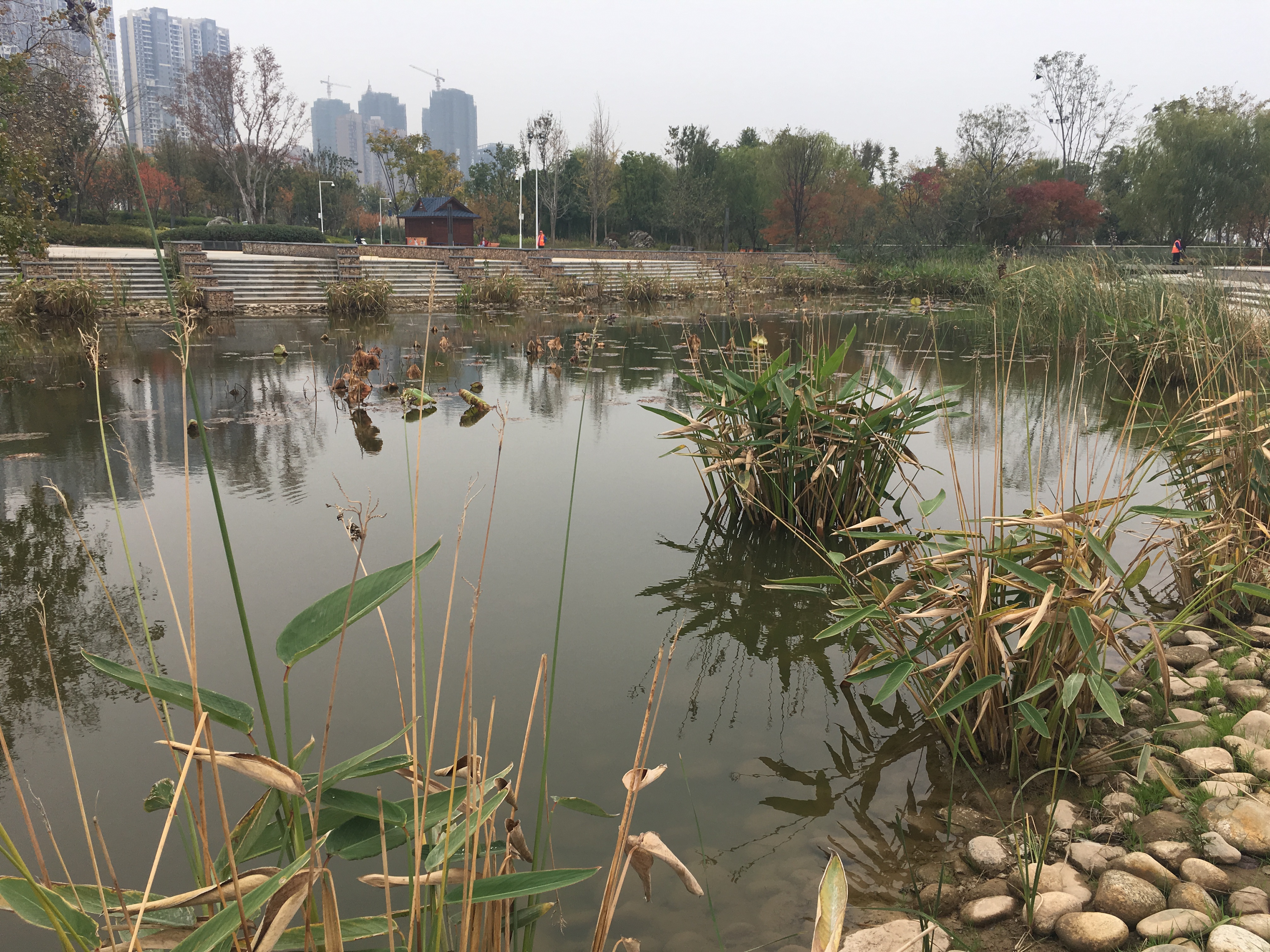 Floodwater detention pond, Wuhan, China