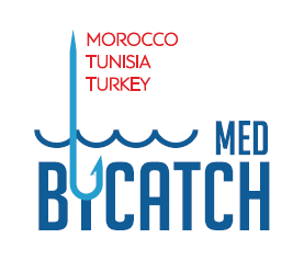 bycatch_logo_english