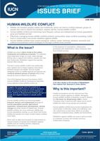 Human-wildlife Issues Brief conflict cover image