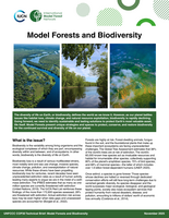 Model forests and biodiversity 2
