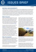 Biofuels Issues Brief cover image
