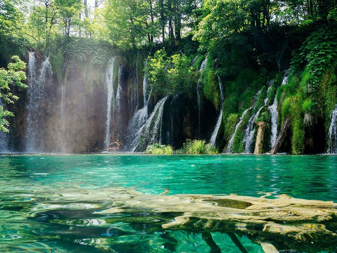 content hero image