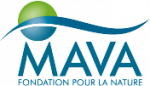 mava_foundation_logo