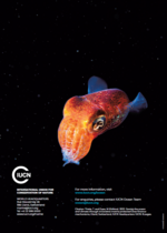 IUCN UNFCCC Ocean brochure back cover image