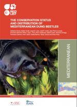 beetle_publication_cover.jpg