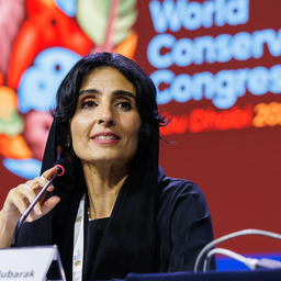 razannewprofilephoto