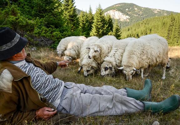 crossroad featured image