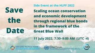 Great Blue Wall side event HLPF 2022 flyer