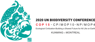 COP15 logo-en-hrz.png