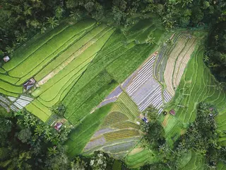 Aerial agriculture