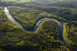 Amazon river