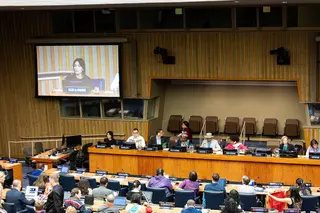 mayor inclusión de los pueblos indígenas